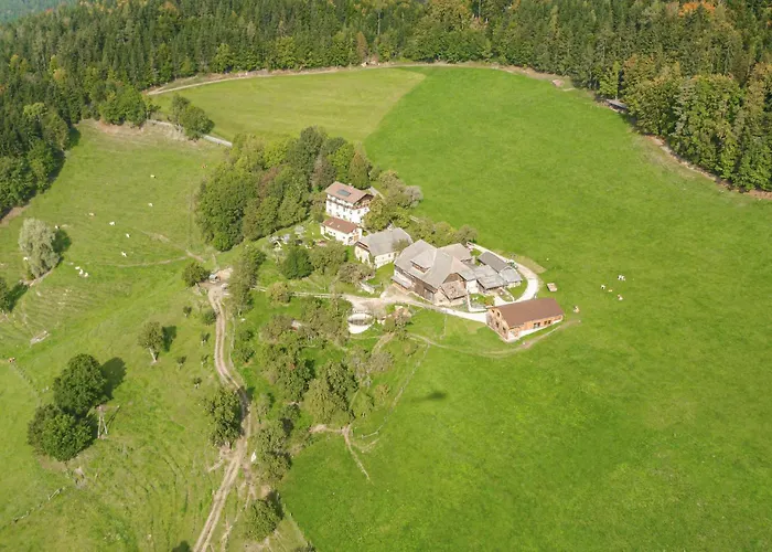 Klein St Paul Filfing